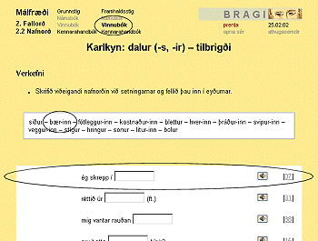 > BRAGI: Mlfri: 2. Fallor: 2.2 Nafnor > "Karlkyn: dalur (-s, -ir) - tilbrigi" (VB: FS)